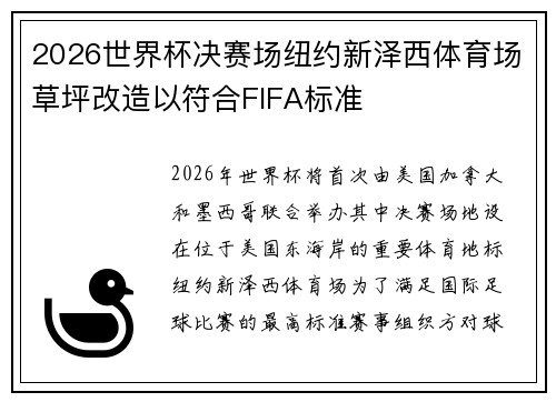 2026世界杯决赛场纽约新泽西体育场草坪改造以符合FIFA标准